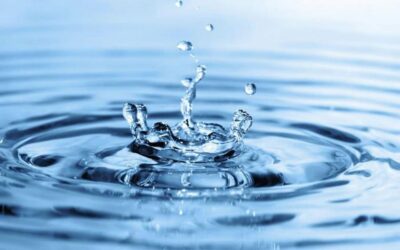 Día mundial del agua