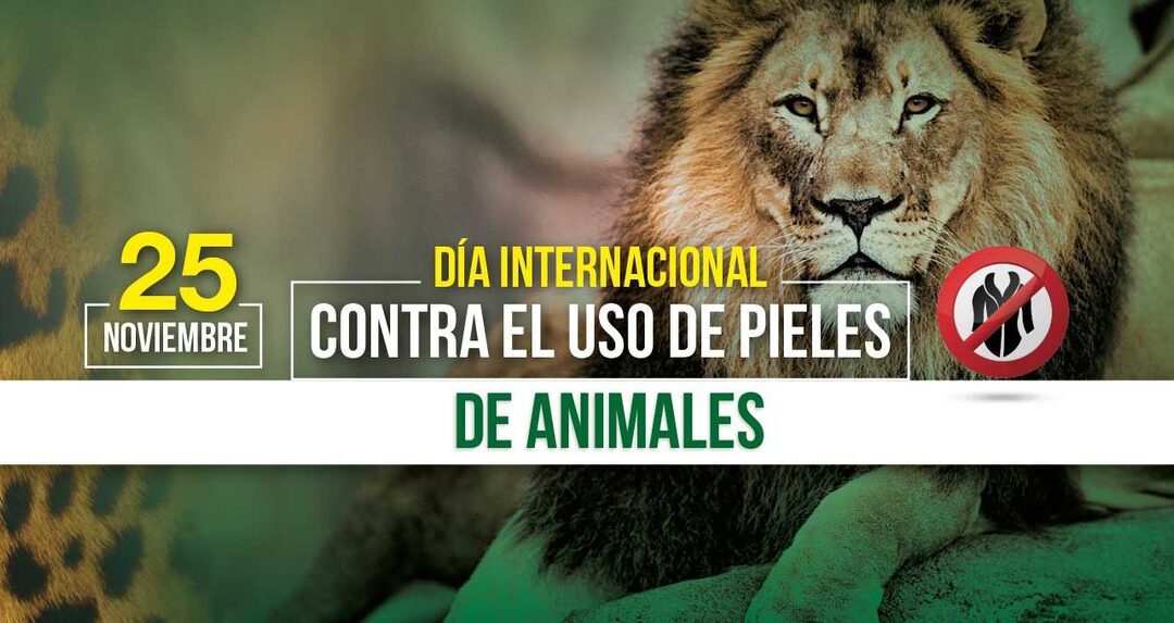 DÍa Internacional Contra el Uso de Pieles de Animales