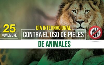 DÍa Internacional Contra el Uso de Pieles de Animales
